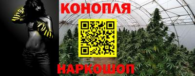 индика Малгобек