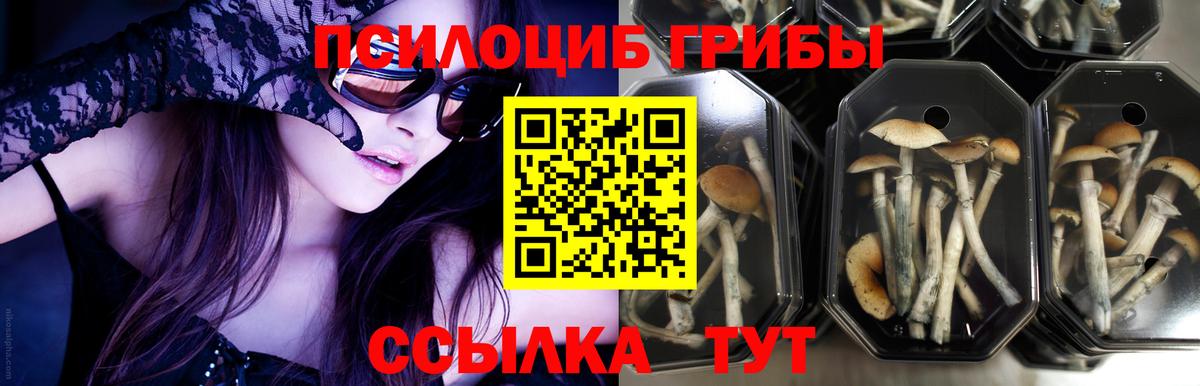 Галлюциногенные грибы прущие грибы  Псилоцибиновые грибы Psilocybine cubensis  Вход с VPN  Шатура 