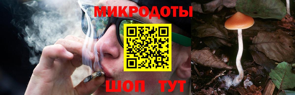 Псилоцибиновые грибы GOLDEN TEACHER Шатура